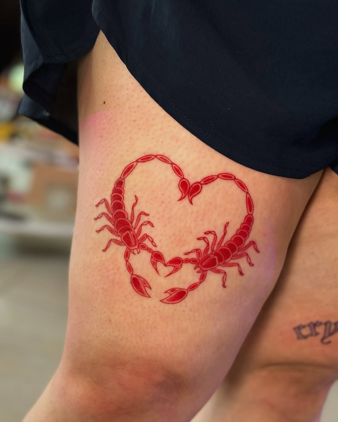 Dual scorpions forming a heart shape tattoo