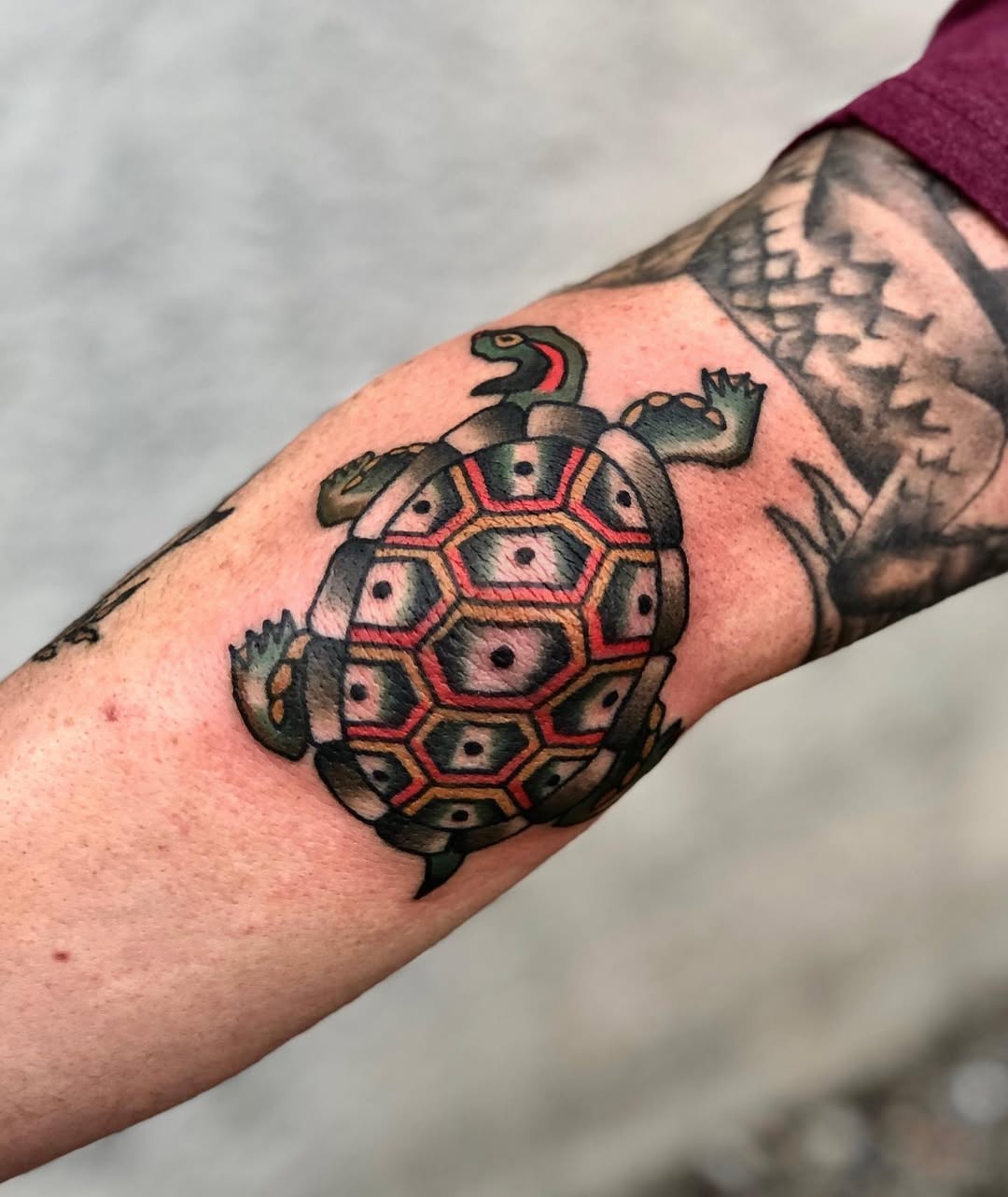 Vibrant Tribal Turtle Tattoo Design on Arm