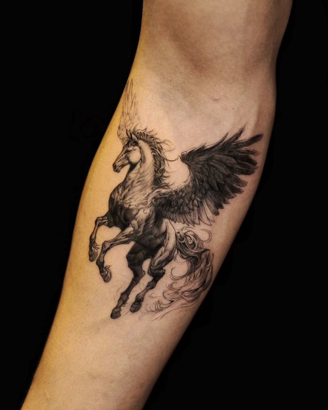 Elegant winged horse tattoo in fine detail