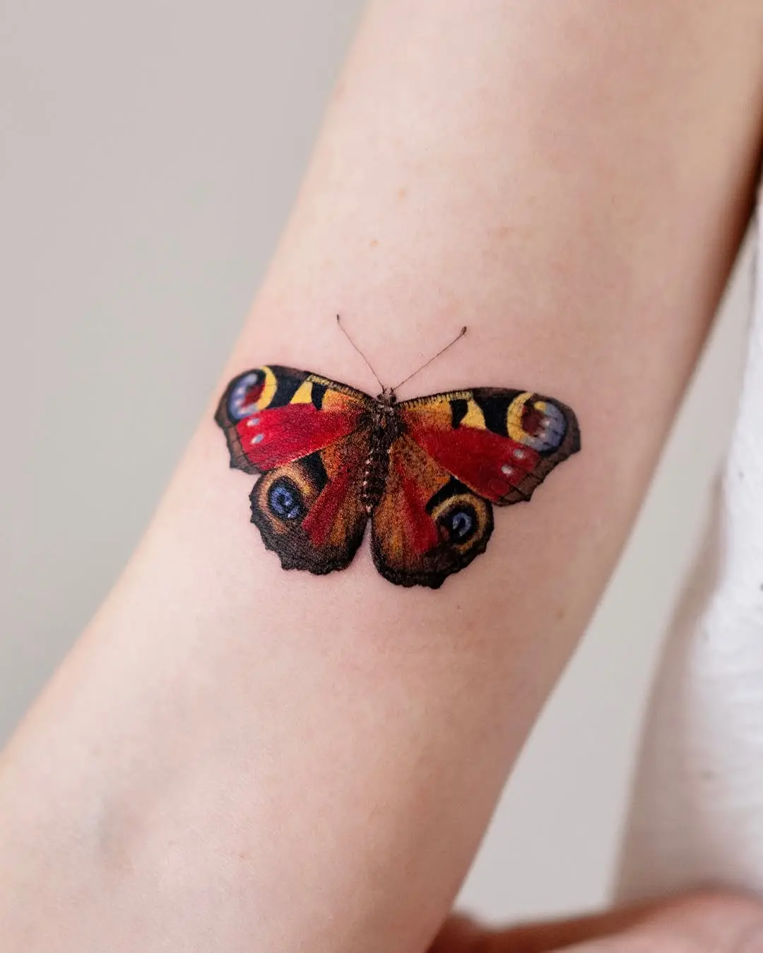 Vibrant butterfly tattoo showcasing intricate details.