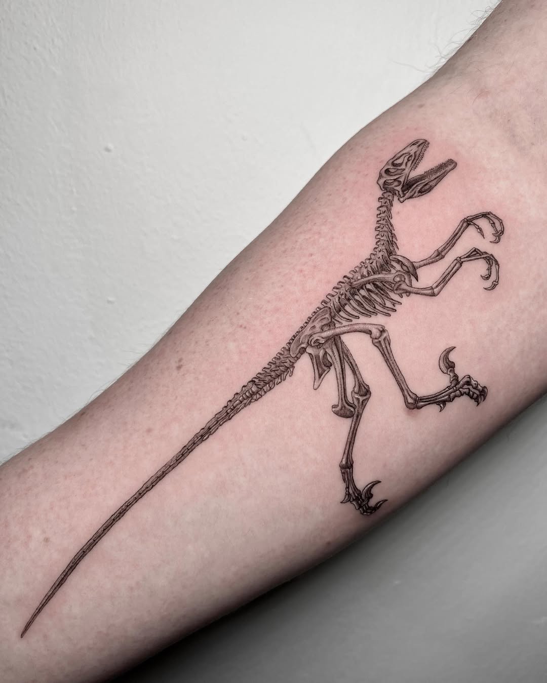 Intricate raptor skeleton tattoo on forearm