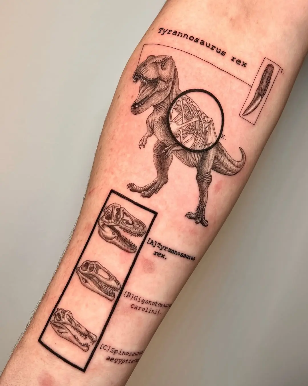 Intricate T-Rex Tattoo with Anatomical Details