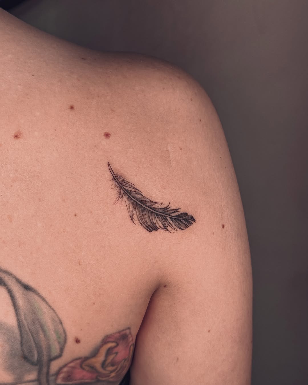 Delicate feather tattoo on shoulder placement