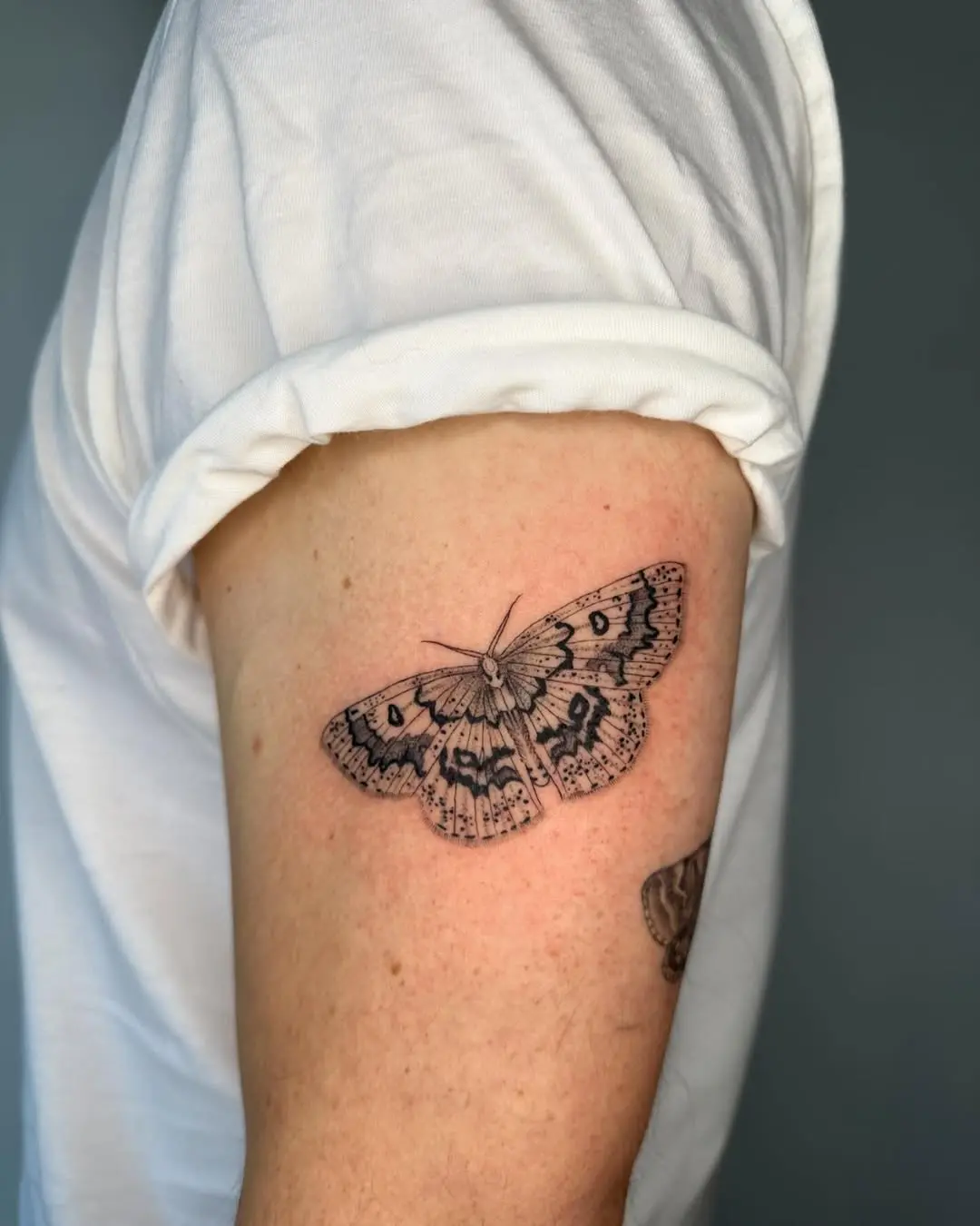 Intricate black ink moth tattoo on arm