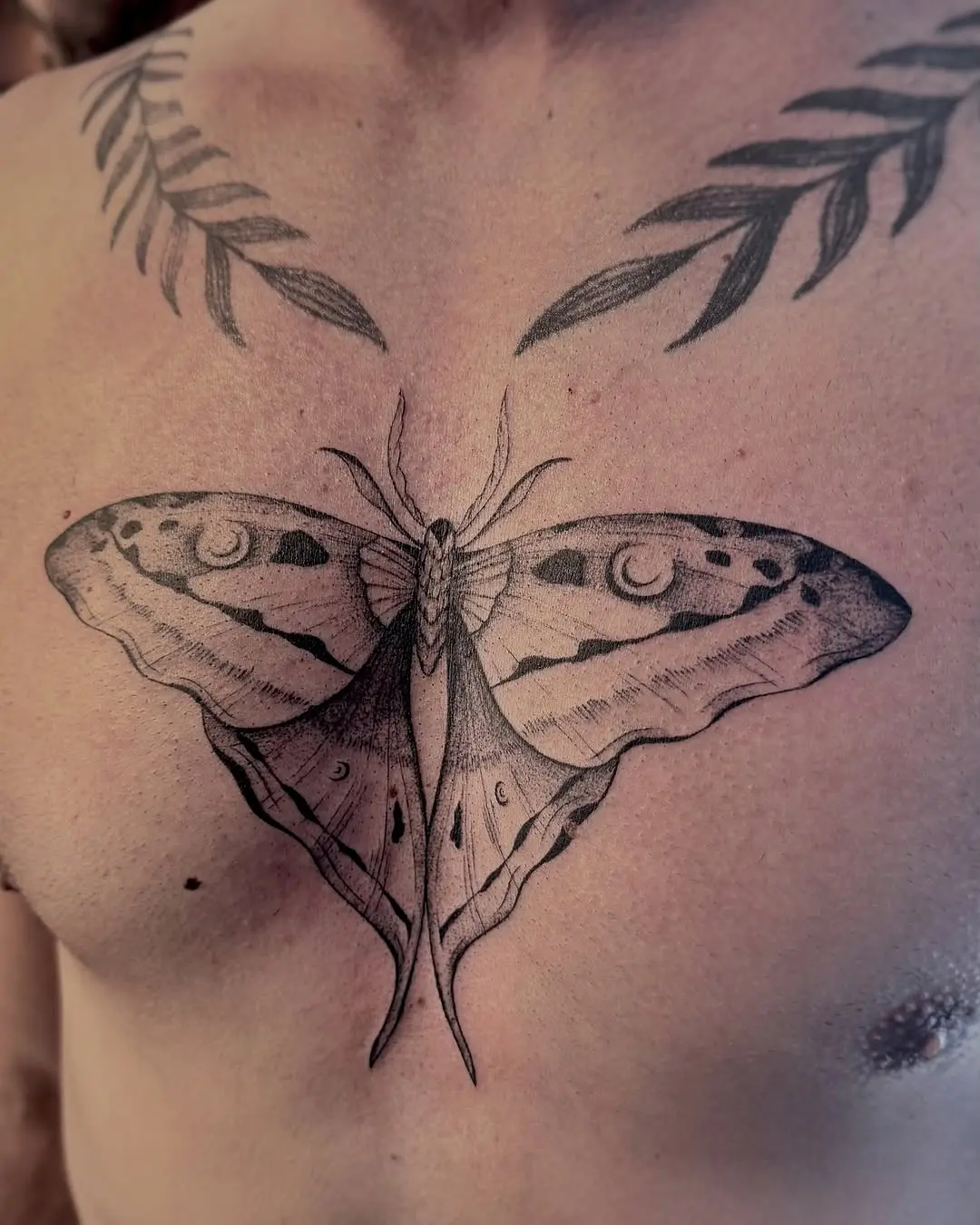 Intricate moth tattoo on chest design