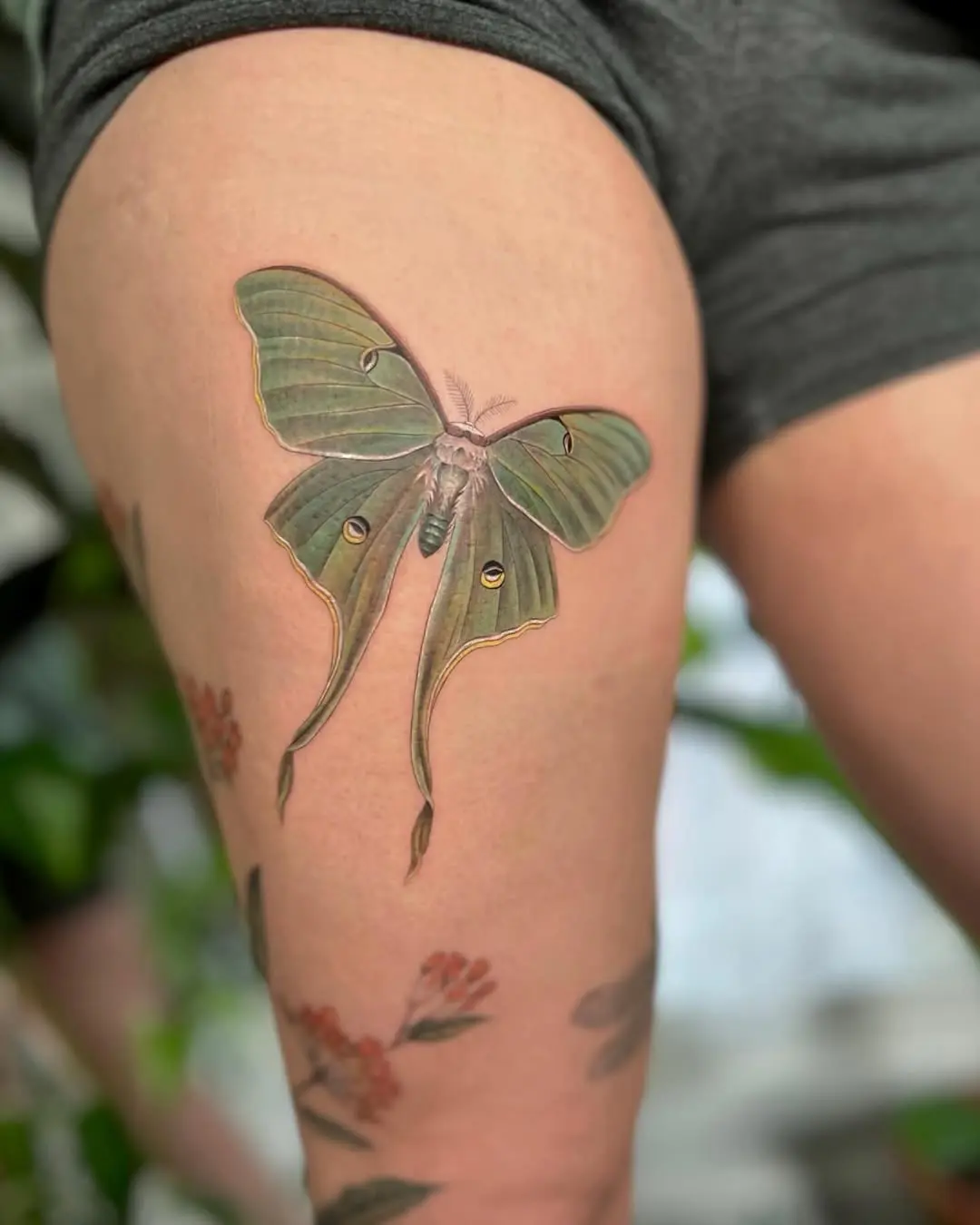 Stunning realistic moth tattoo on thigh.