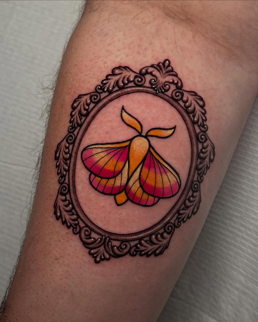 Vibrant framed moth tattoo on a forearm