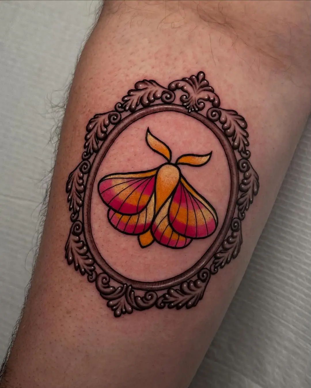 Vibrant framed moth tattoo on a forearm