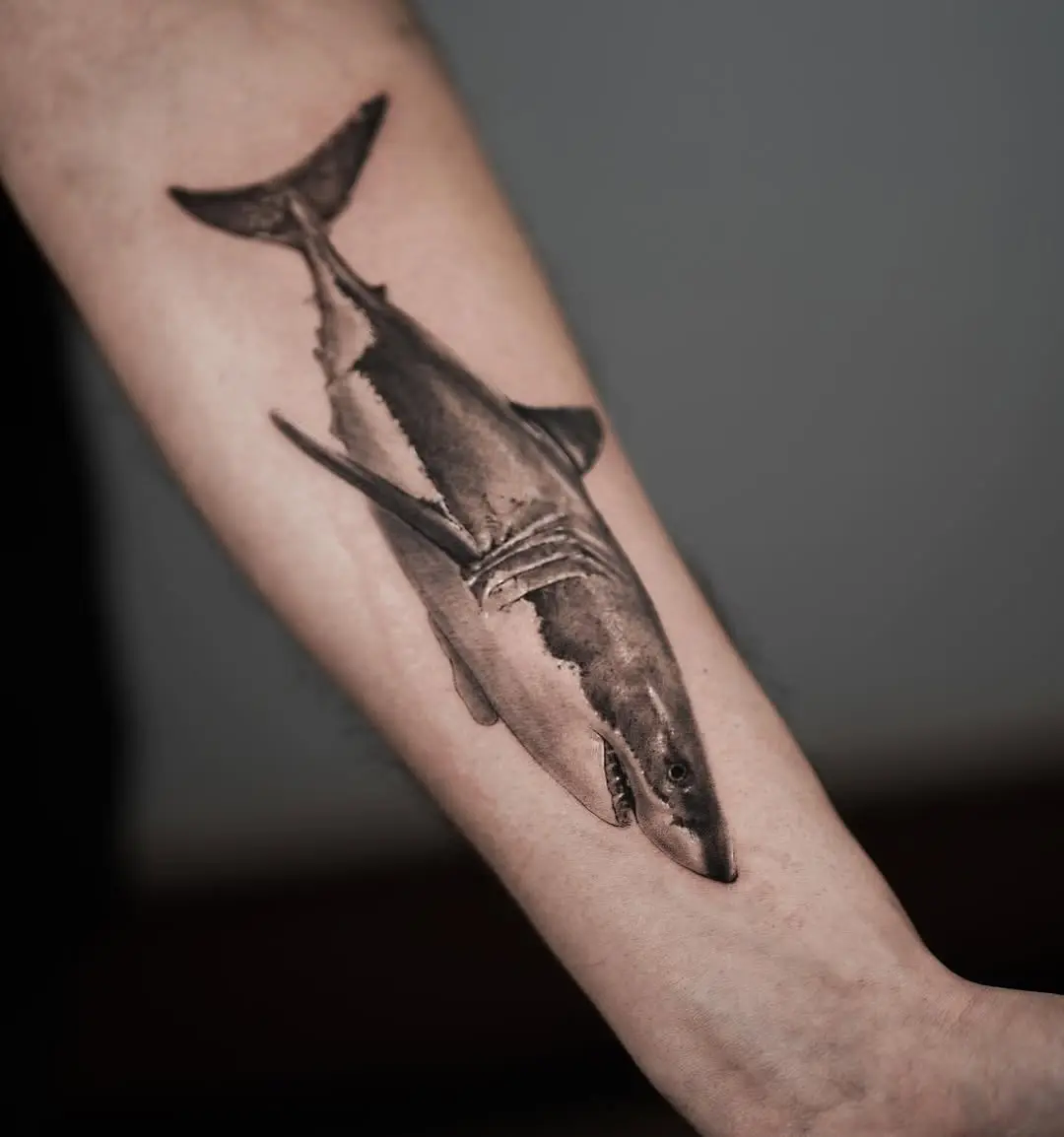 Stunning realistic shark tattoo on forearm
