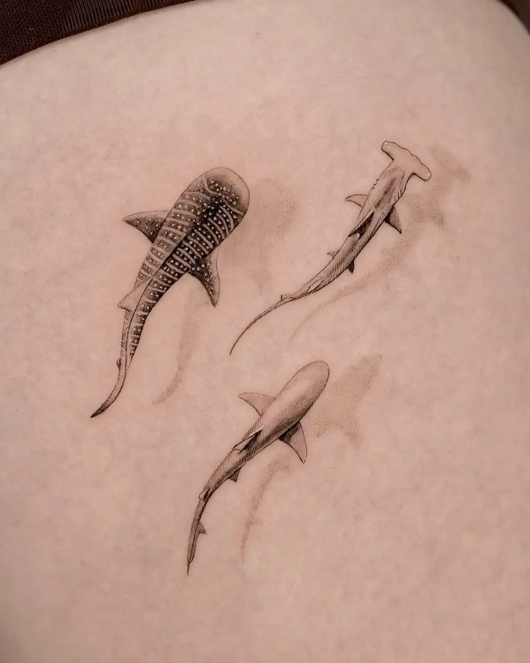 Elegant black-and-gray shark tattoo art