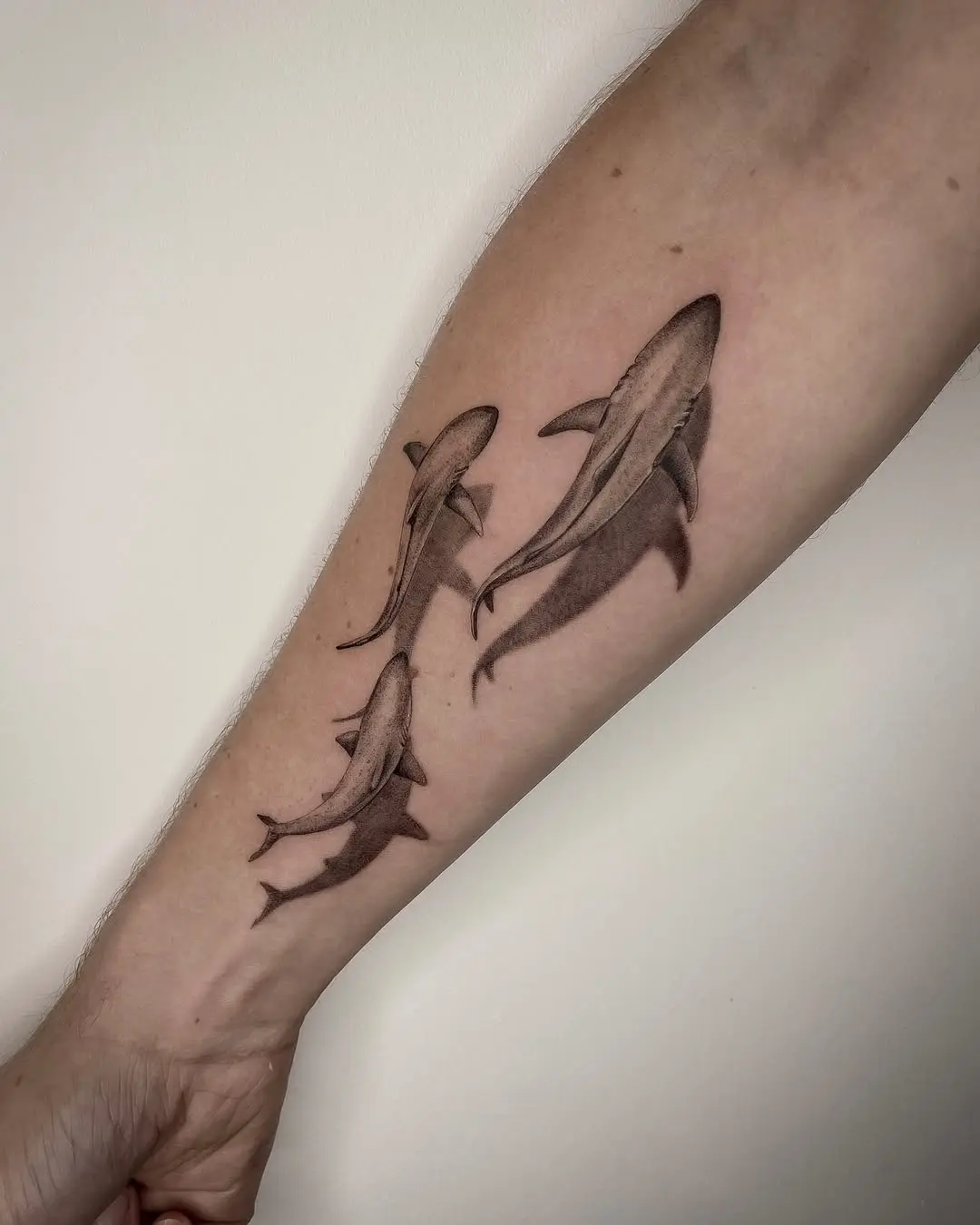 Elegant Shark Tattoo Design on the Forearm