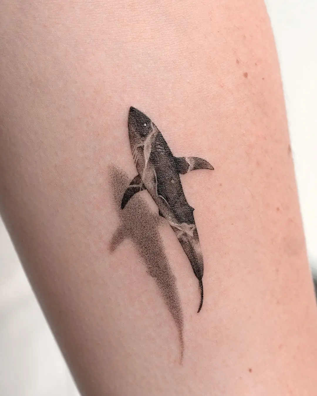 Dynamic Shark Tattoo with Shadow Effect