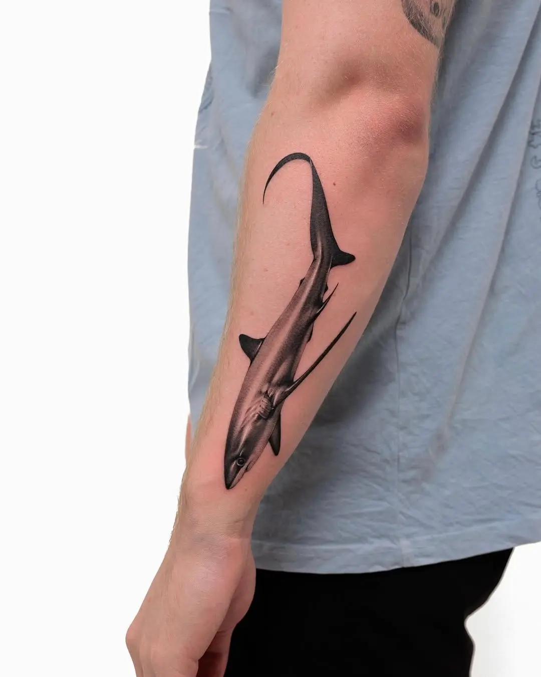 Stunning realistic shark tattoo on forearm