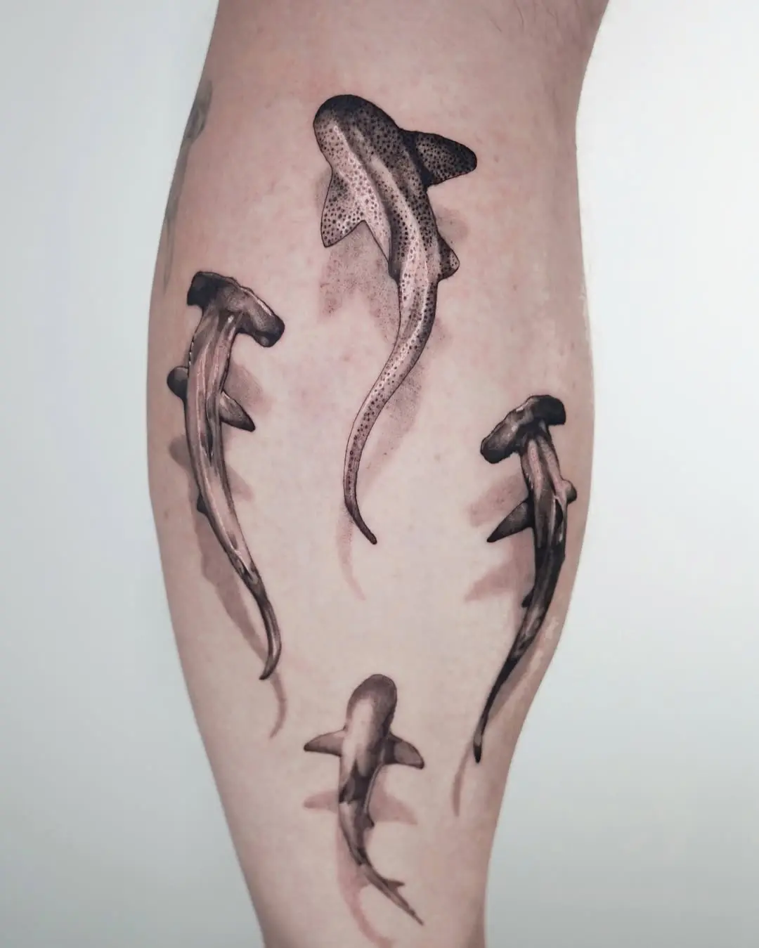 Realistic Shark Tattoos Showcasing Unique Designs