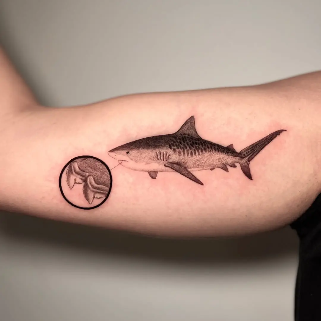 Realistic shark tattoo with inner detail circle