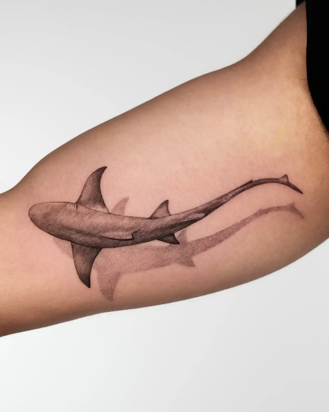 Sleek shark tattoo capturing underwater elegance