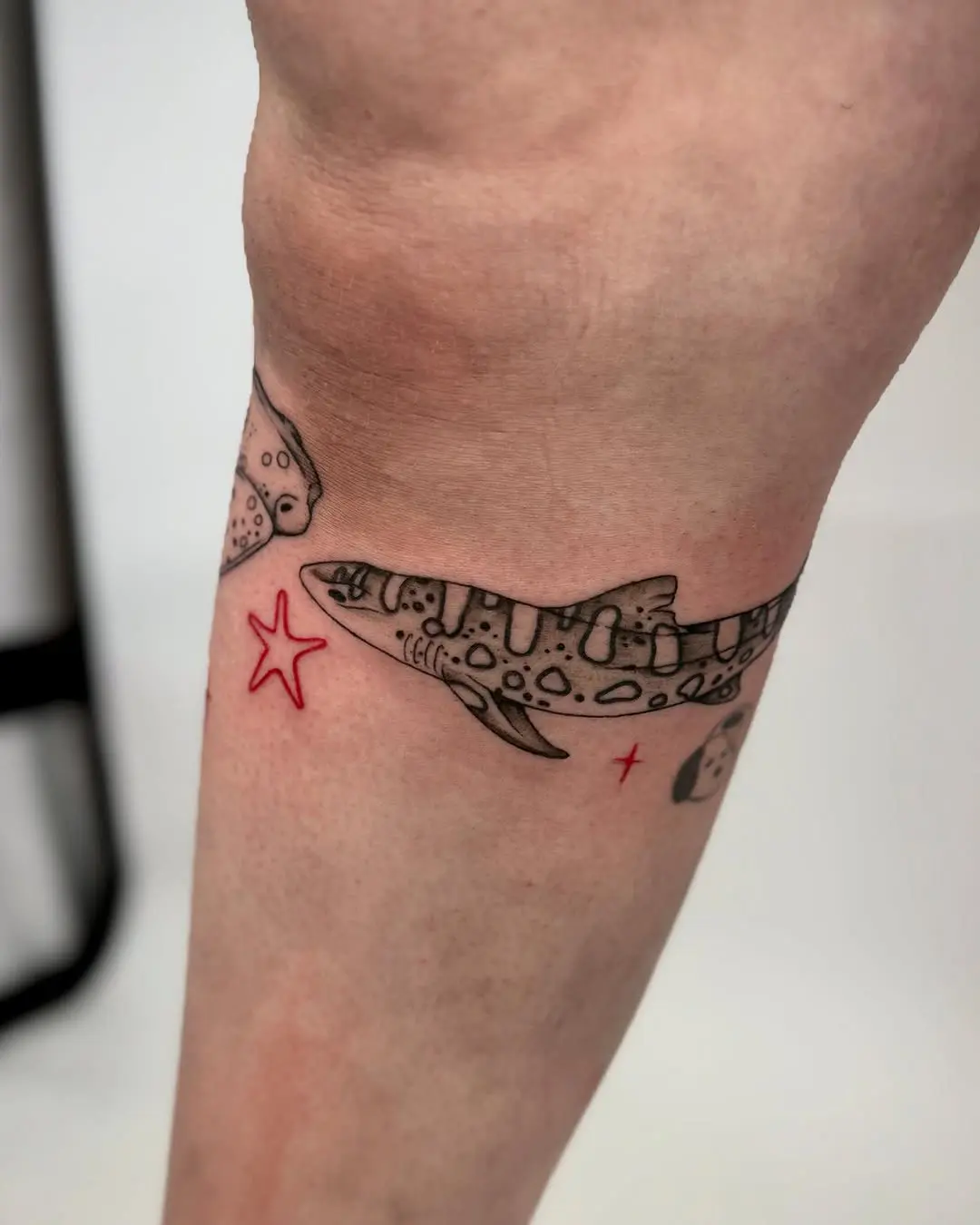 Bold shark design with playful star details