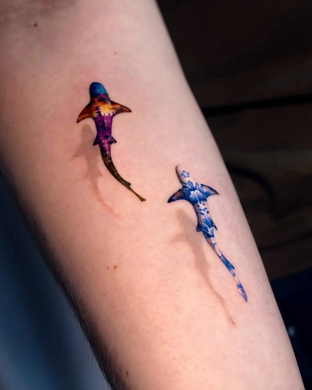 Vibrant shark tattoos showcasing unique artistry
