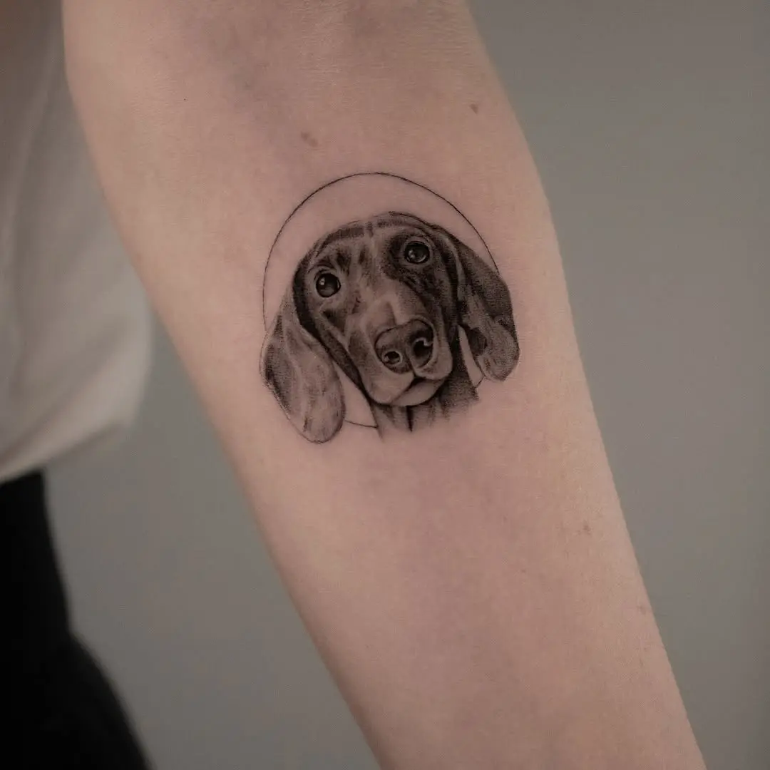 Adorable dog portrait captures affection beautifully