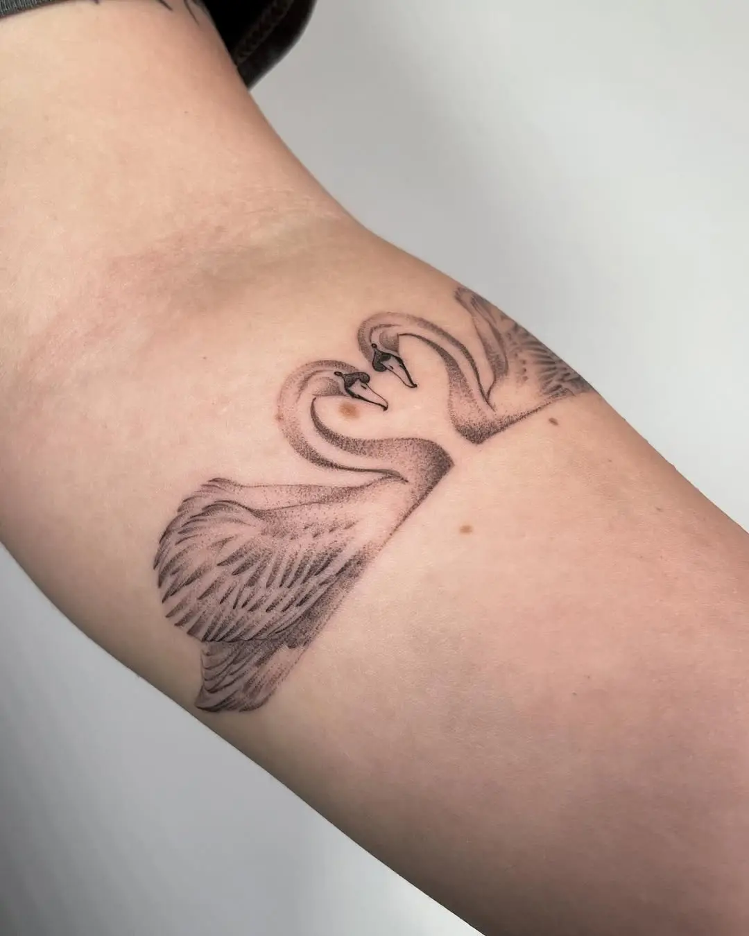 Elegant swan tattoo symbolizing love and unity