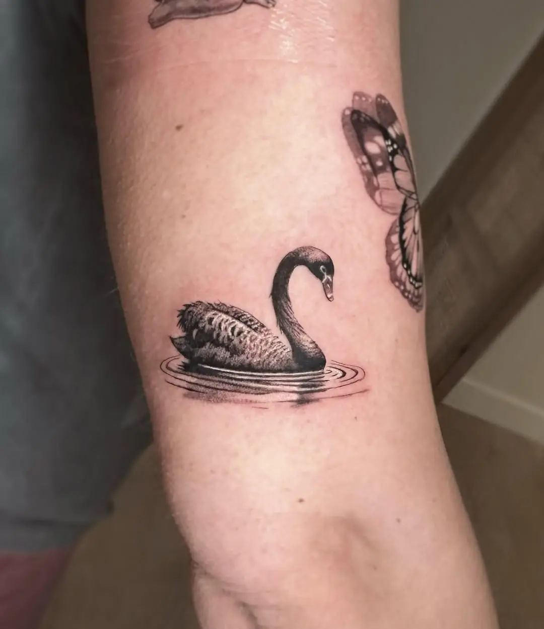Intricate black and gray swan tattoo on arm