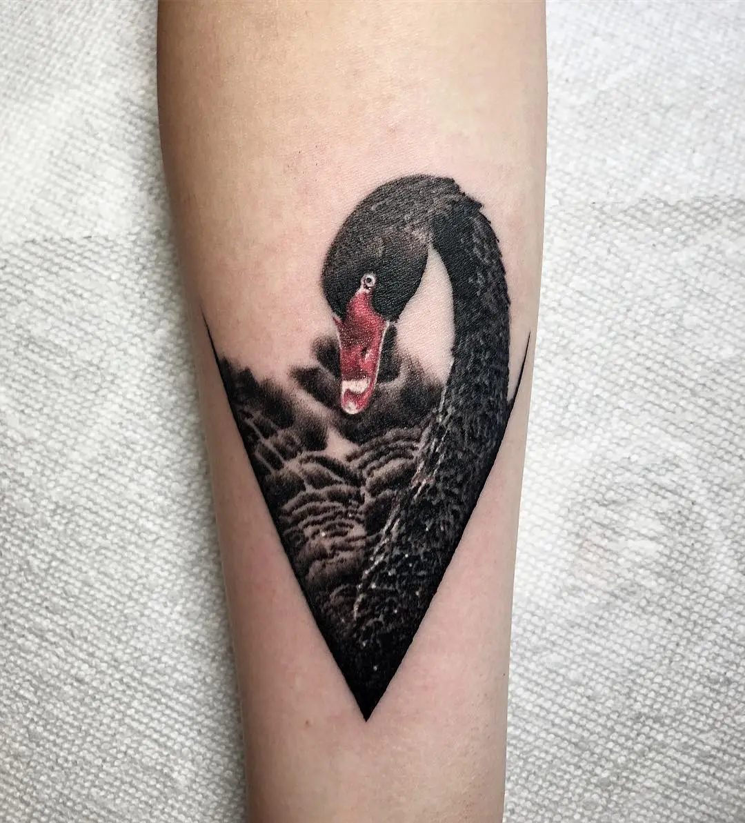 Elegant black swan tattoo with striking detail