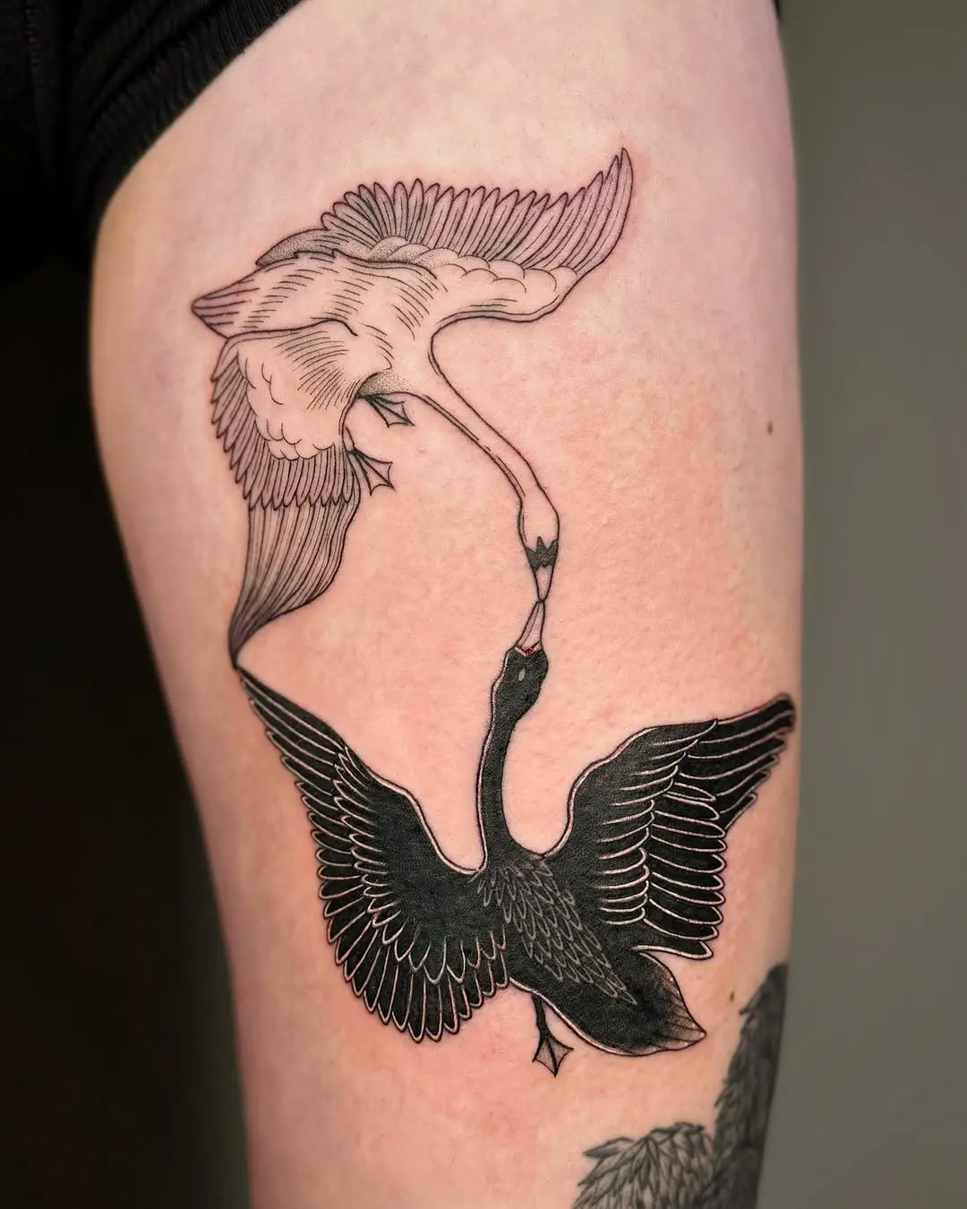 Elegant swan tattoos showcasing love and unity