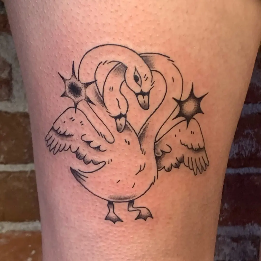 Stylish twin swans with a unique flair
