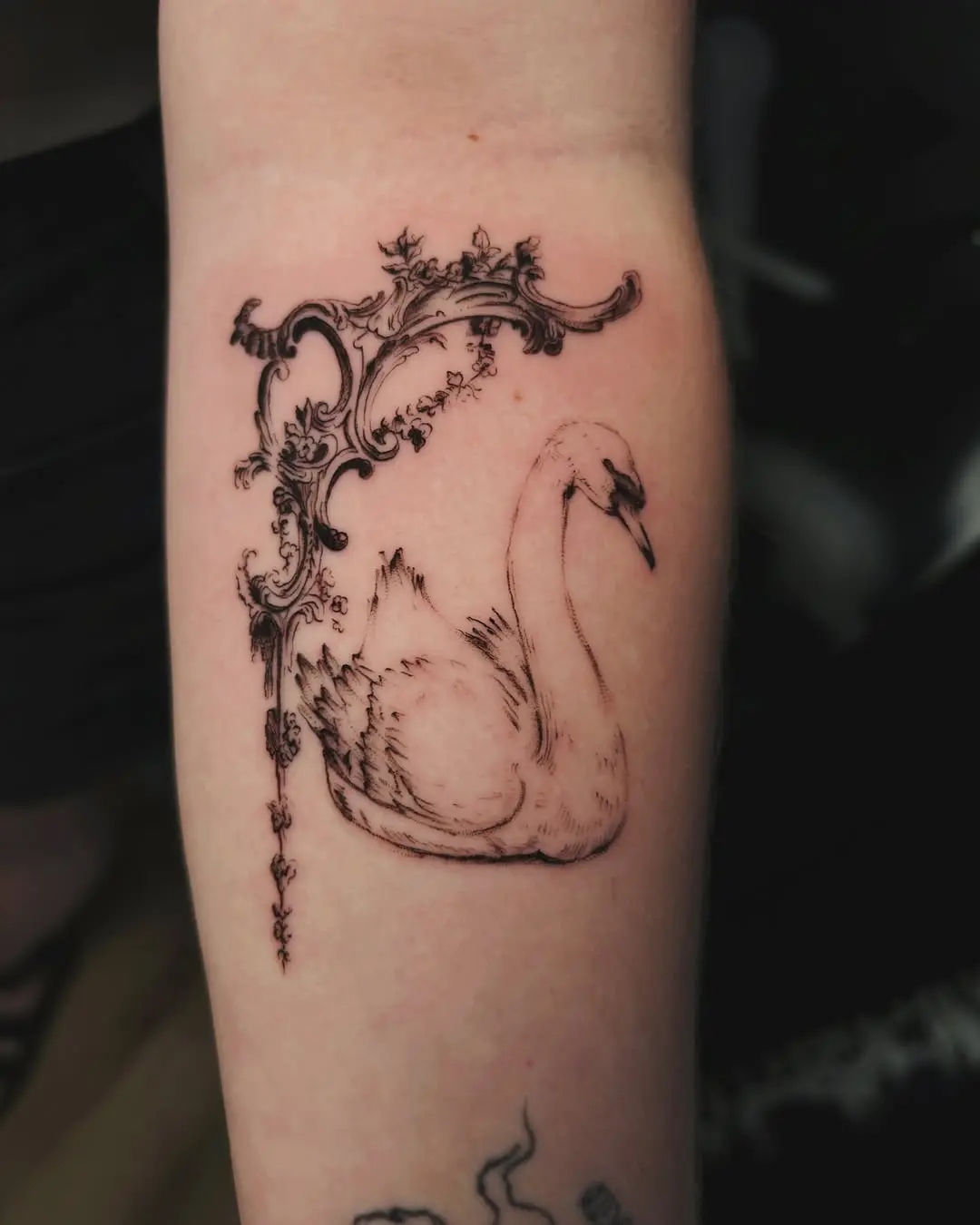 Elegant swan tattoo with intricate frame design