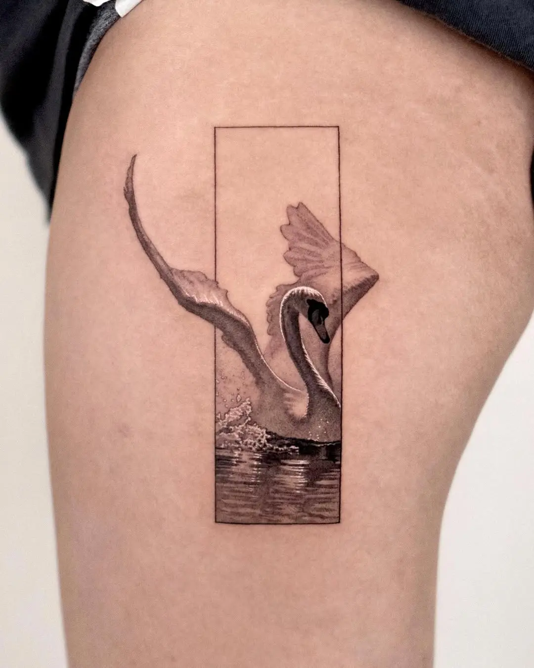 Elegant swan tattoo surrounded by minimalist frame