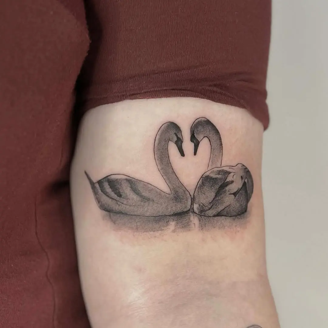 Symbol of love in swan tattoos