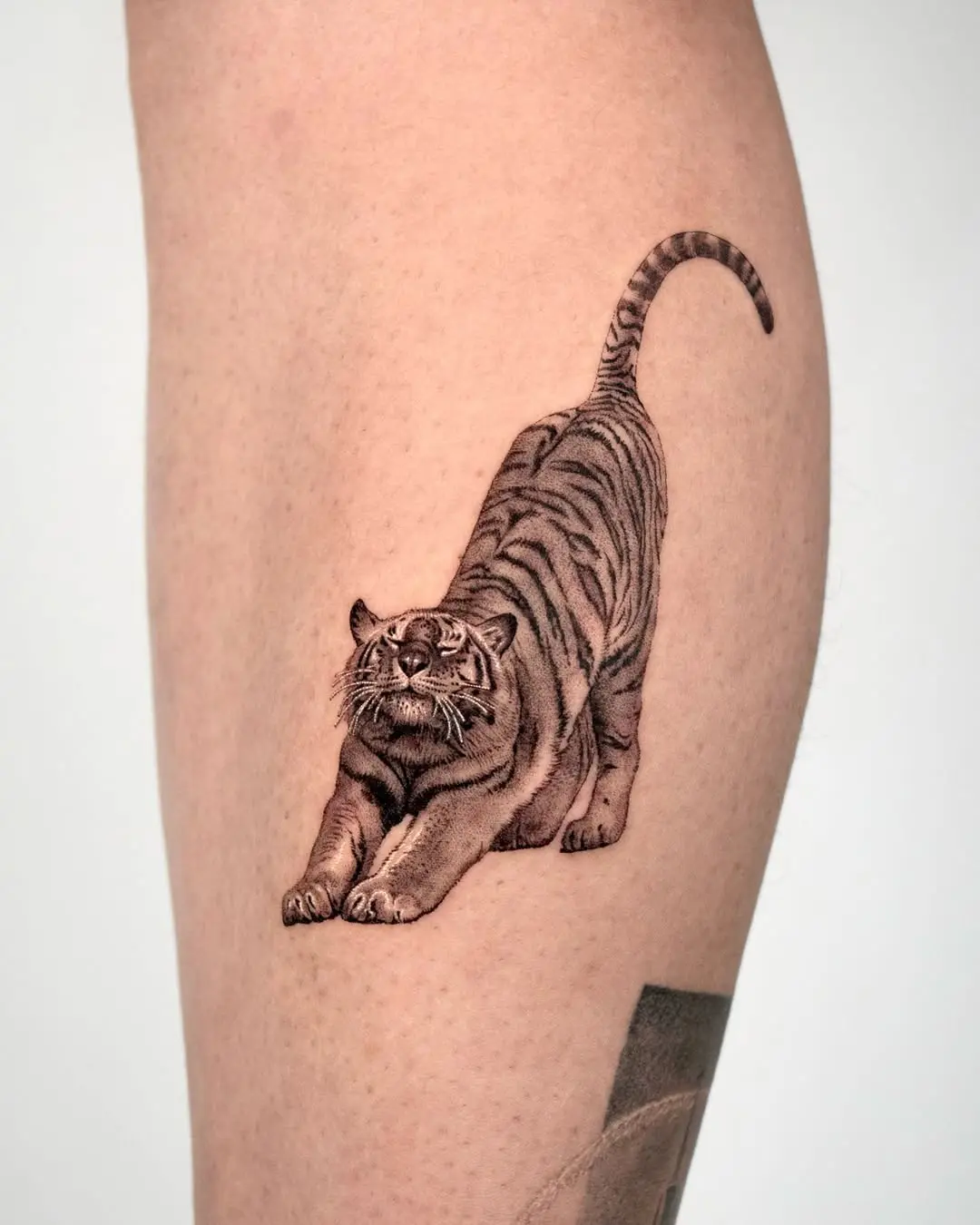 Realistic tiger tattoo in a playful pose