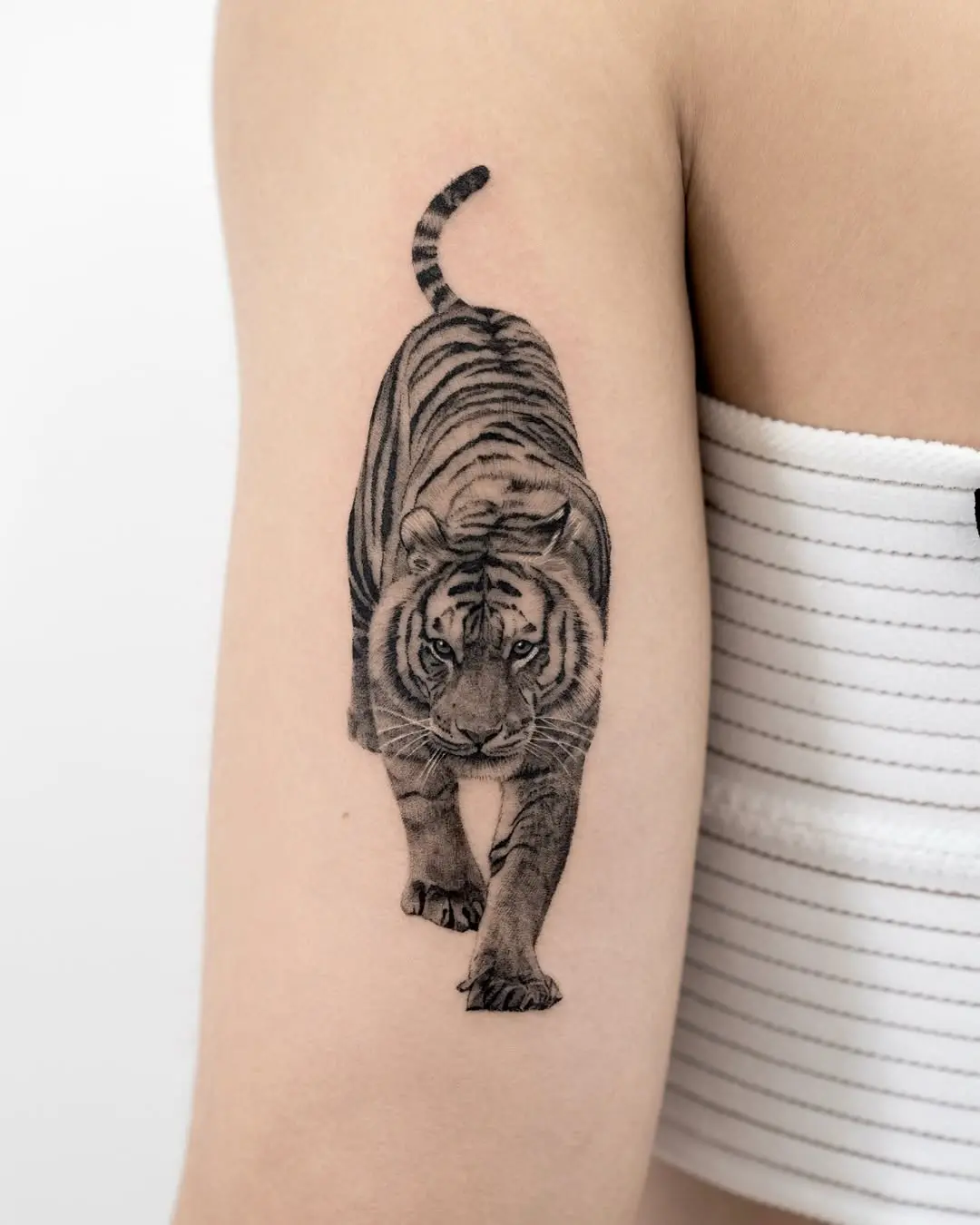Realistic Tiger Tattoo on Arm