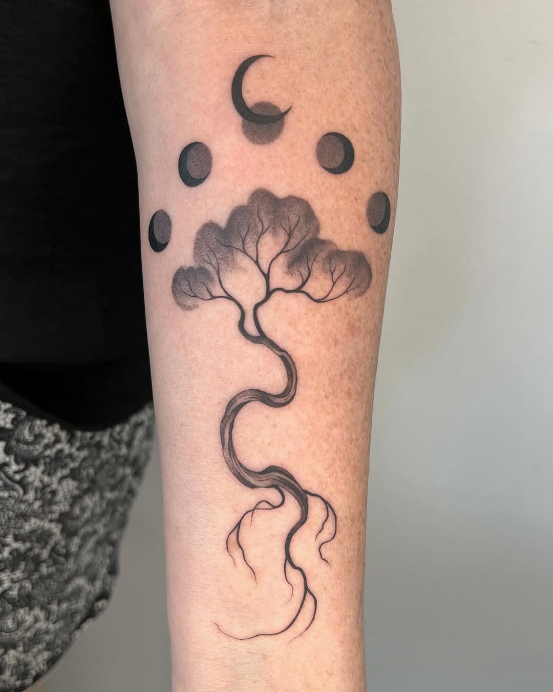 A delicate tree symbolizing life and cycles