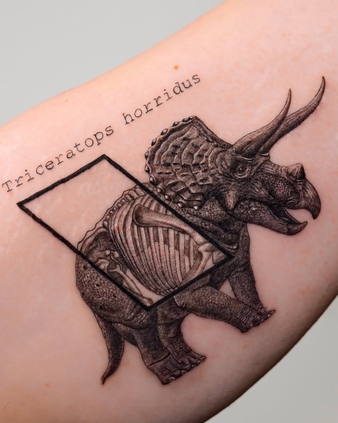 Unique Triceratops Tattoo with Anatomical Detail