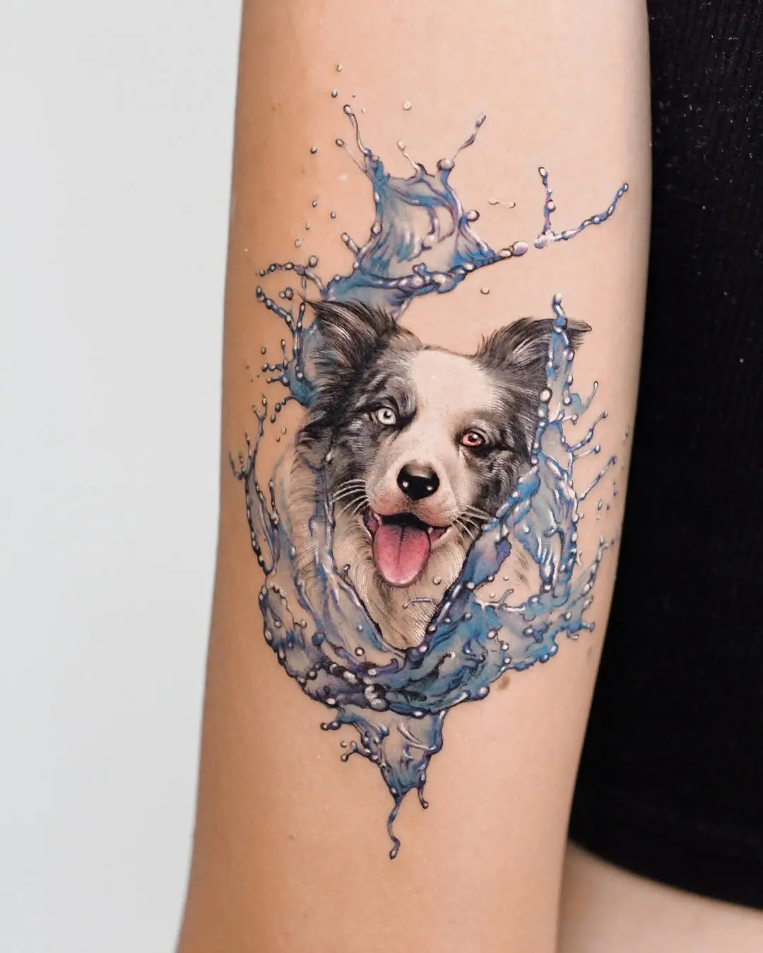 Vibrant dog portrait surrounded by water splashes