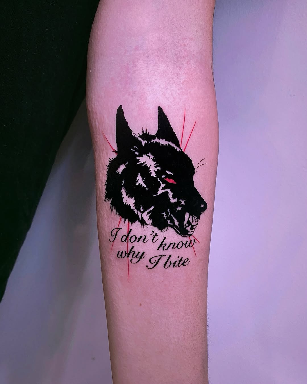 Striking wolf tattoo with bold, aggressive details