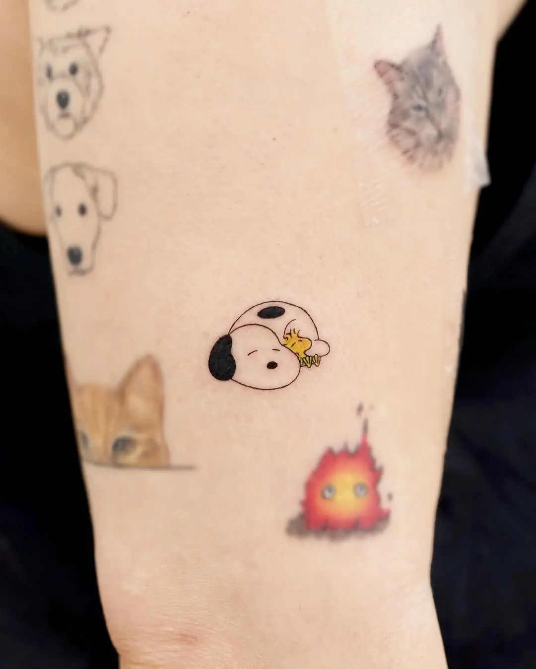 Adorable cartoon pets with lovely vibes
