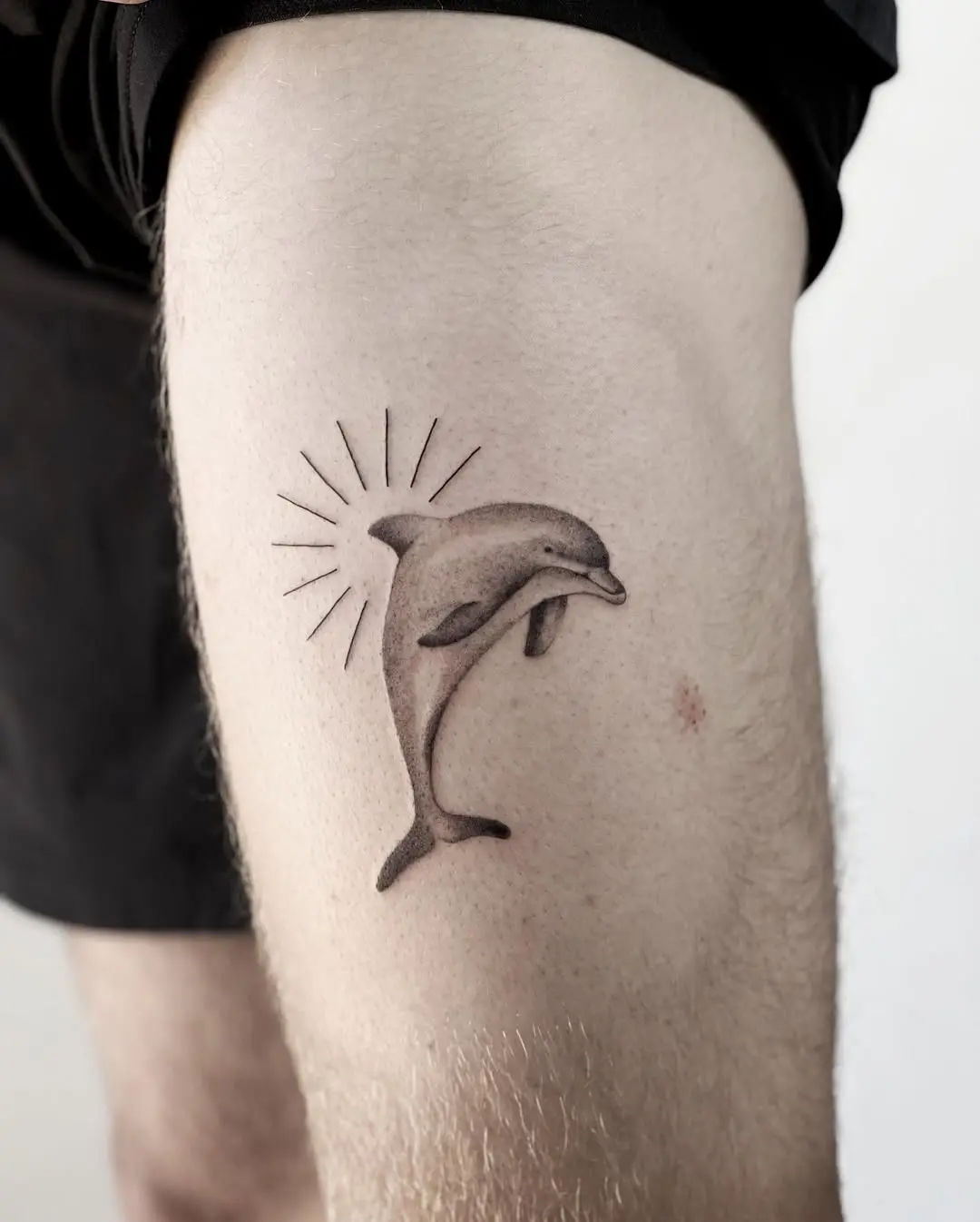 Dynamic dolphin design with a minimalist vibe