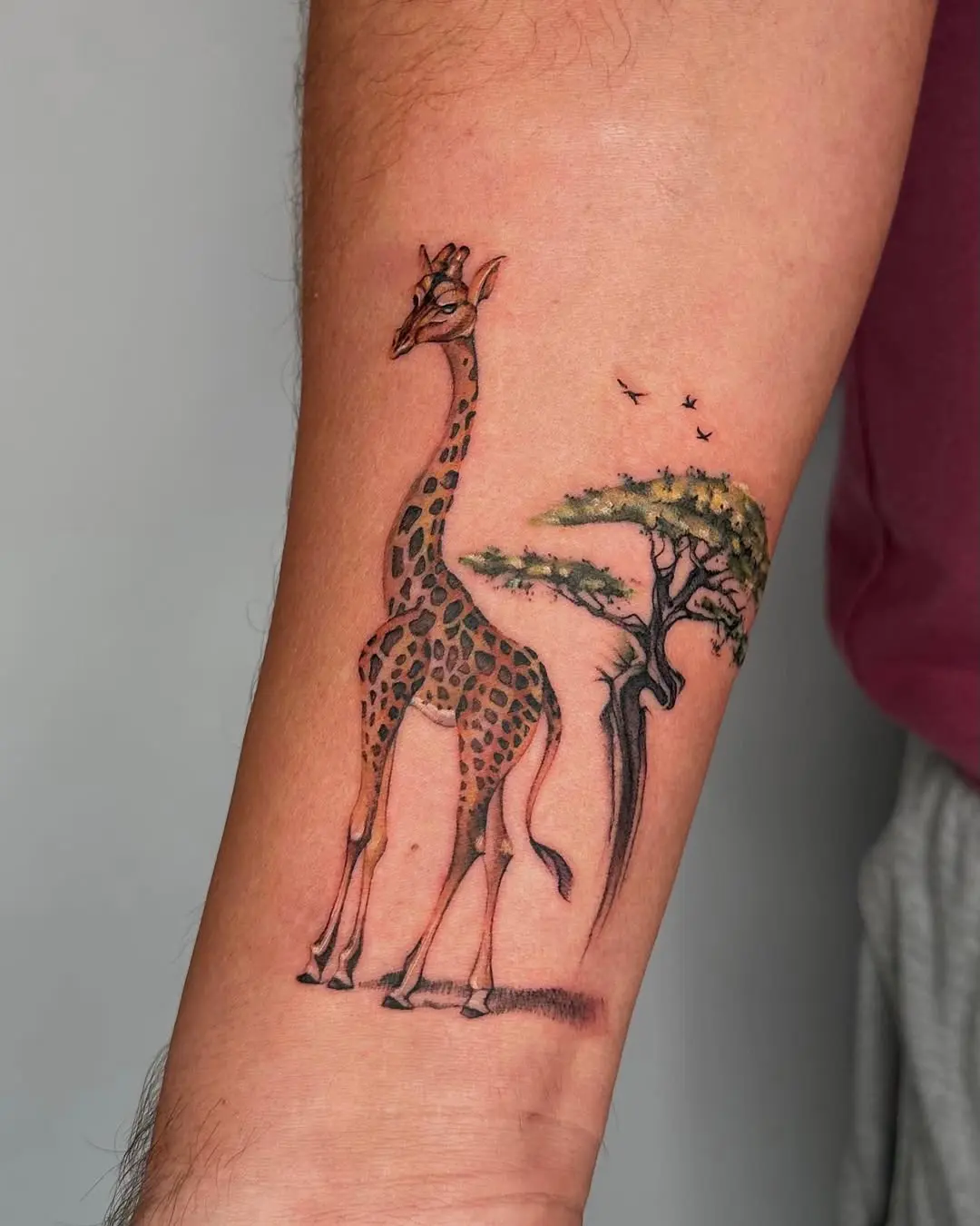 Stunning giraffe tattoo paired with a tree design