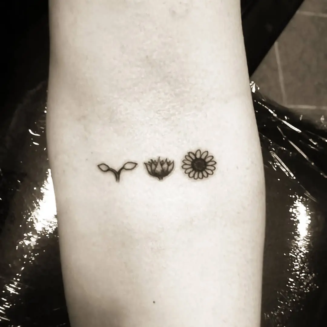Symbolizing growth through nature's beauty.