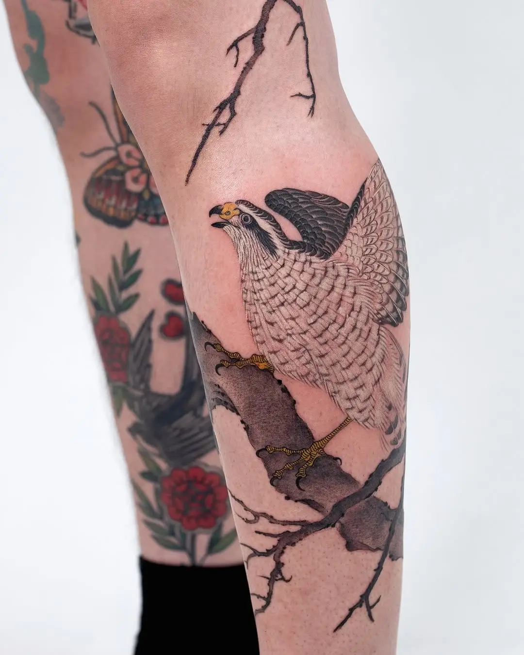 Intricate hawk tattoo perched on a branch