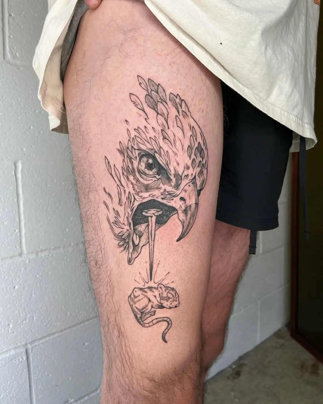 Intricate hawk tattoo featuring fierce design elements