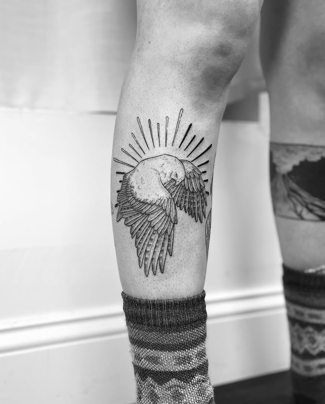 Elegant hawk tattoo with rays of light