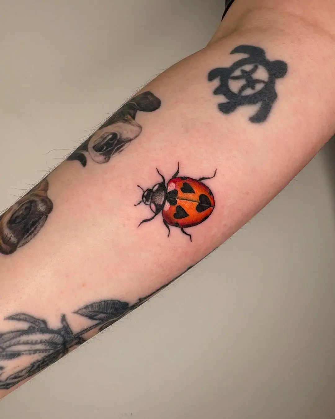 Vibrant ladybug tattoo on forearm