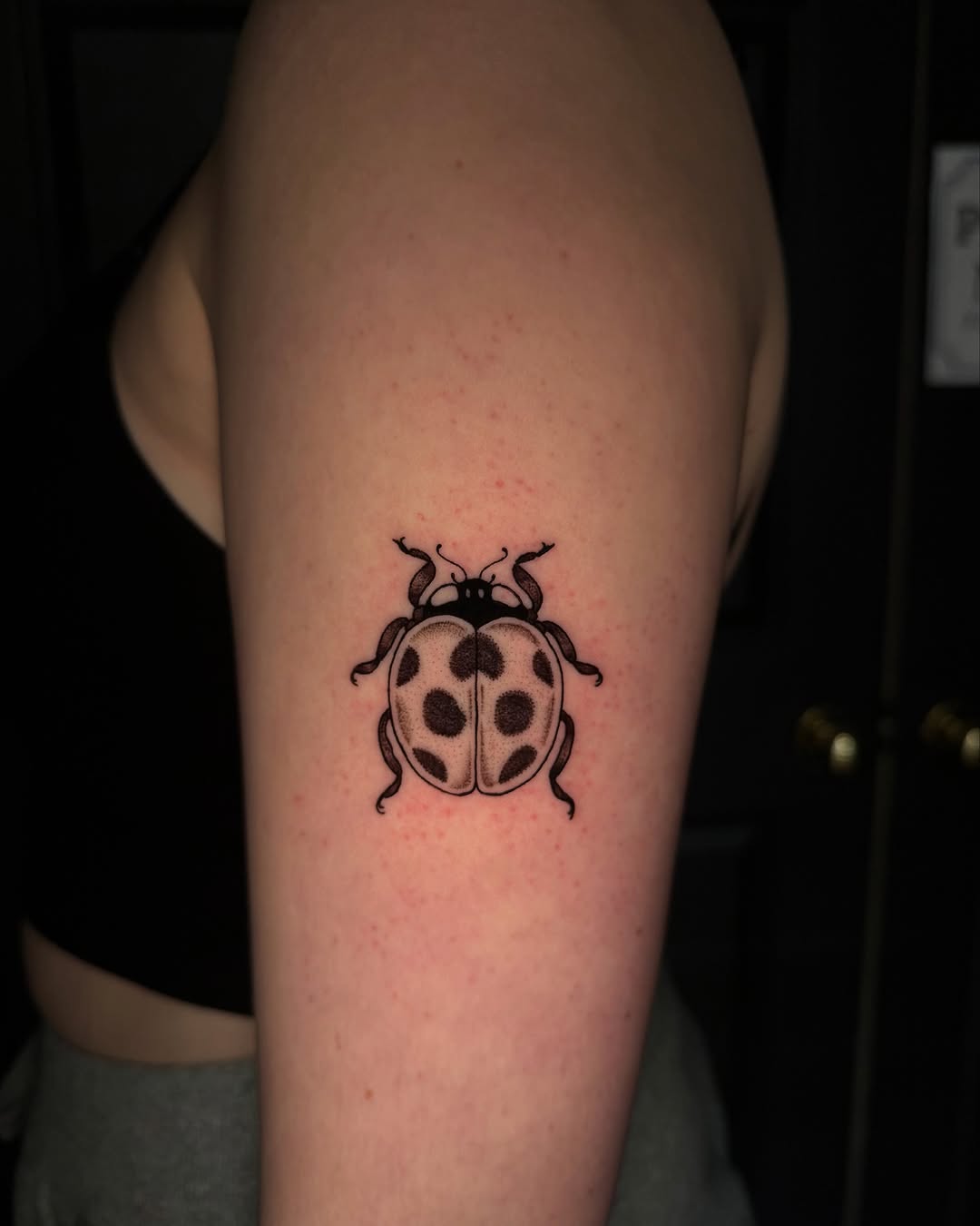 Charming and unique ladybug tattoo design