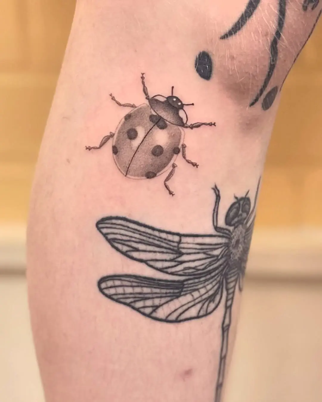 Realistic ladybug tattoo with intricate details