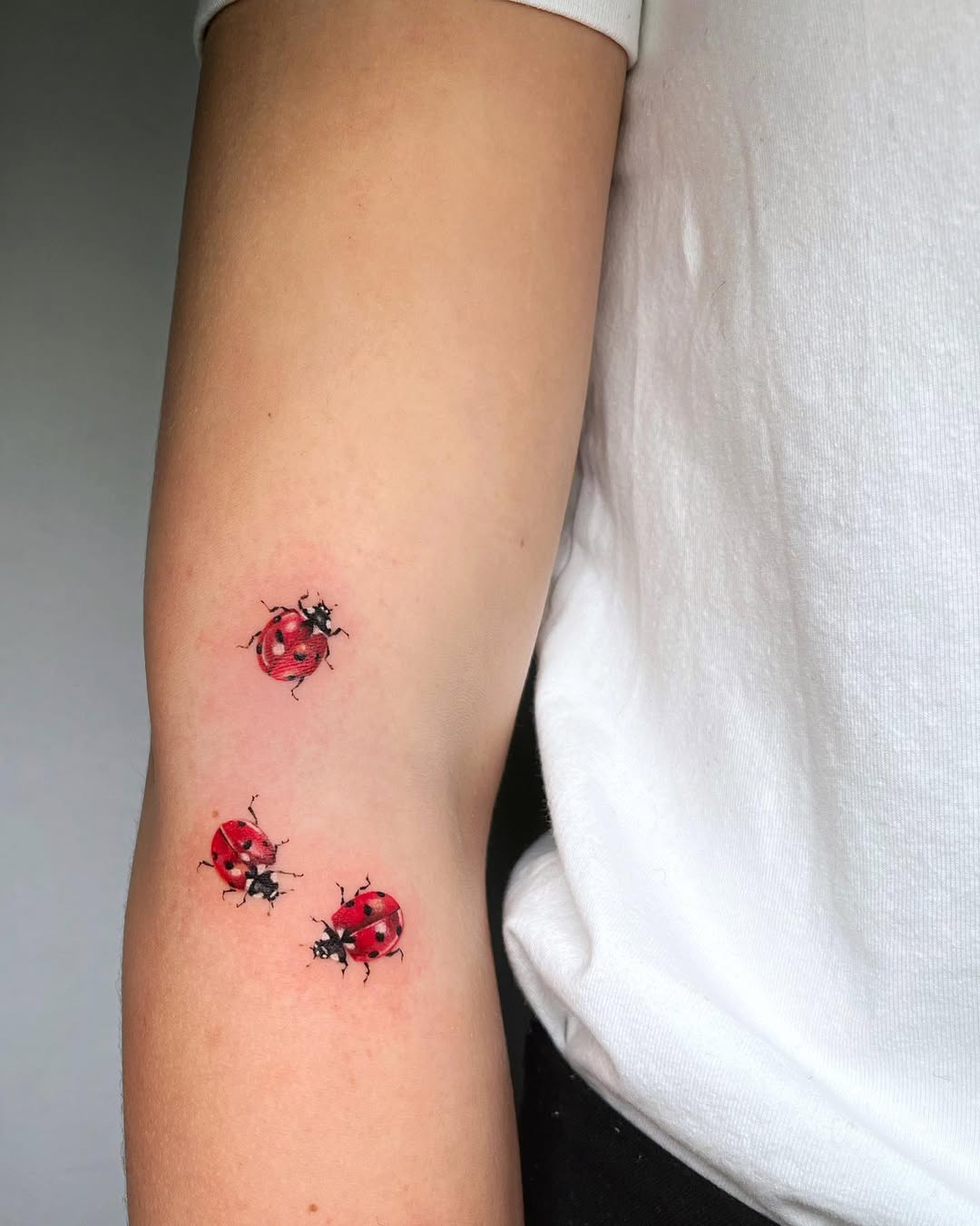 Charming ladybug tattoo trio on arm