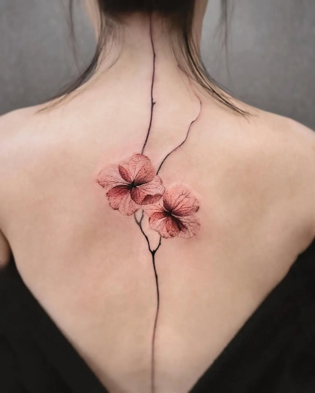 Delicate pink blossoms along the spine