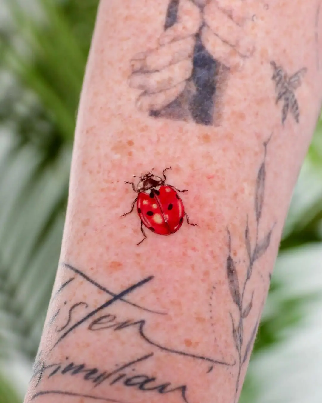 Charming ladybug tattoo with vibrant colors